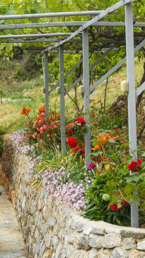 Villa Megdani Ohrid Kültér fotó